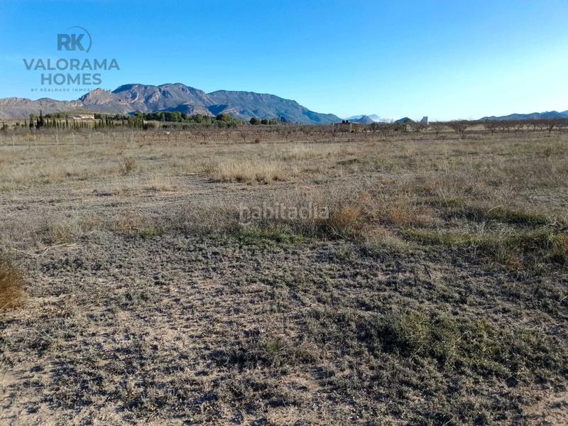 Foto 74ff4bdf-685e-4641-abbc-152ffcb72060. Terreny residencial a Ricote