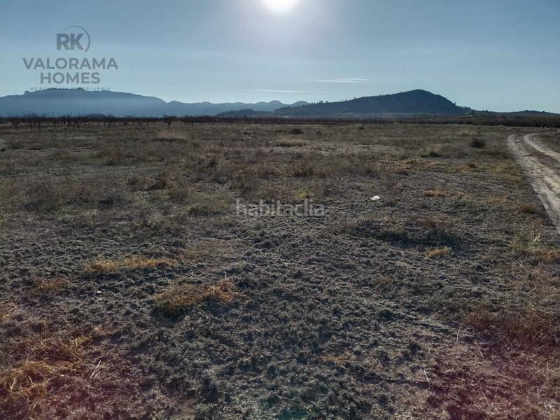 Foto a5d54d65-7c97-4d21-b744-6b58dfeb426a. Terreny residencial a Ricote