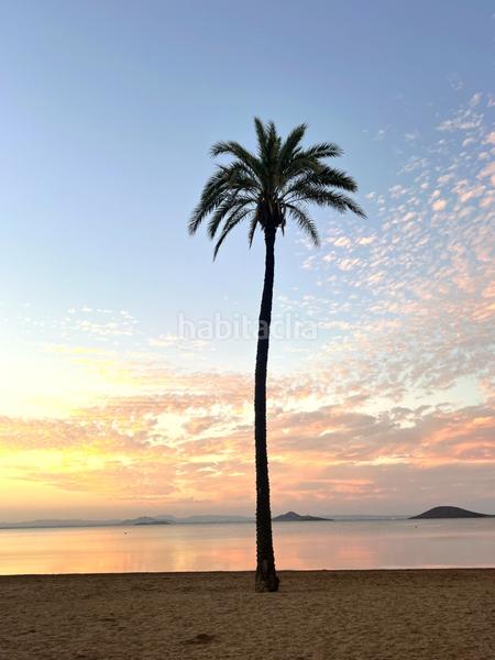 Foto 77e743ef-1d9a-4690-83d8-6600b561e2d4. Pis amb piscina a Entremares Manga del Mar Menor (La)