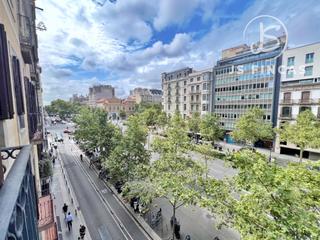 Pis a Paseo gracia 12. Piso 5 habitaciones venta barcelona