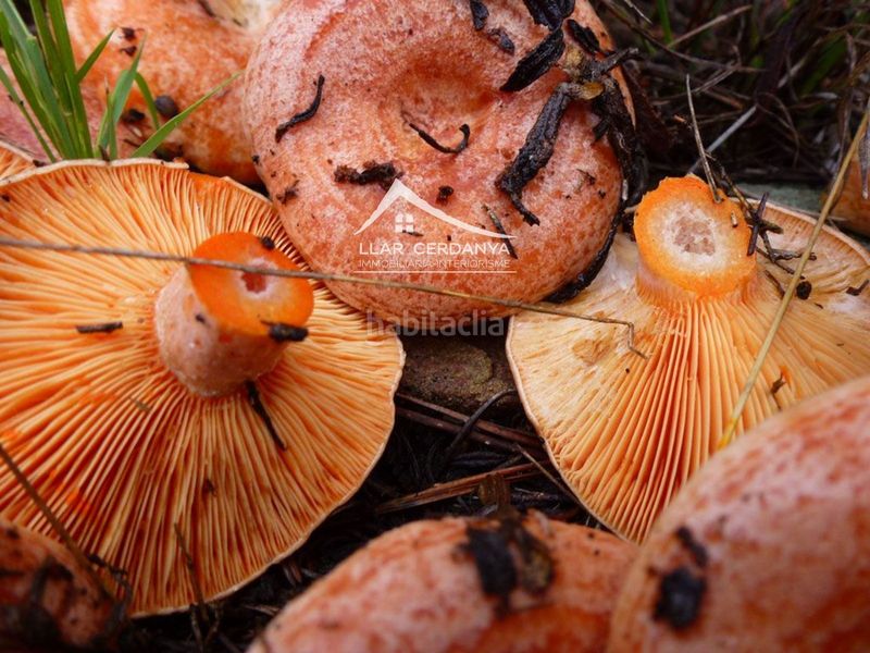 Foto 438f361d-3742-4a60-9953-cb021e777f6e. Aparcament cotxe a Población de Arroyo