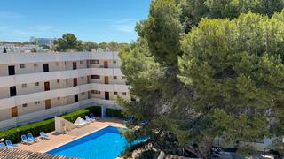 Rent Apartment  Carrer mestre nicolau. Estudio en palmanova con plaza de parking en zona comunitaria