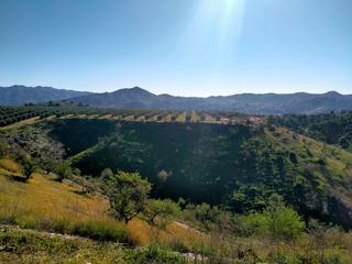 Finca rústica a N/a. ¡descubre esta increíble oportunidad de inversión en el corazón