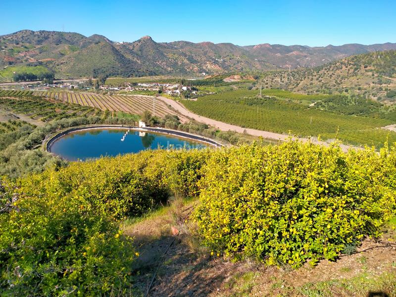 Foto 0e9d29aa-bda4-42db-932b-c27611695a31. Fondo rustico in calle cristo de la veracruz 31 in Almogía