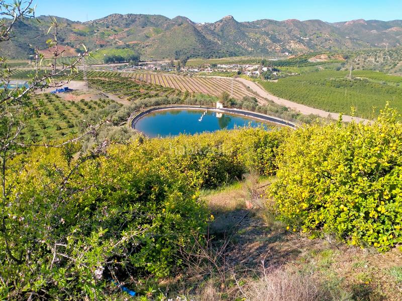 Foto 1c24ab75-b596-41f4-9d92-a69a35d05f11. Fondo rustico in calle cristo de la veracruz 31 in Almogía