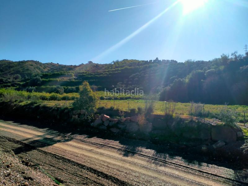 Foto 389a4749-9f66-414e-b1c1-bc3b9a67afd9. Fondo rustico in calle cristo de la veracruz 31 in Almogía