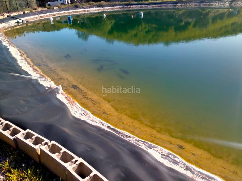 Foto 3df0ce75-d381-4459-bfb4-f734f6f28c5c. Fondo rustico in calle cristo de la veracruz 31 in Almogía