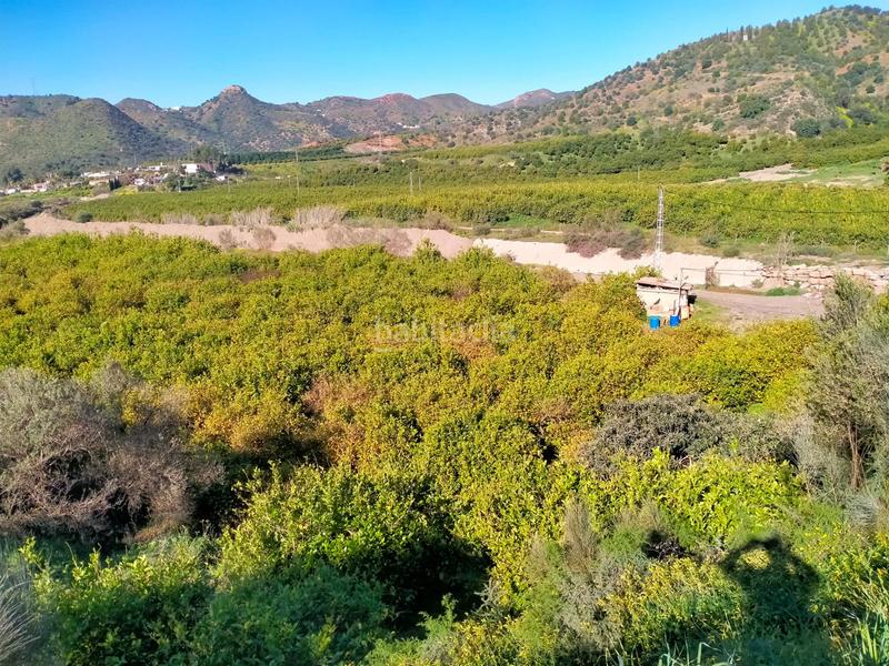 Foto 403f47f9-7866-4619-a55b-2fc5d9e042bf. Fondo rustico in calle cristo de la veracruz 31 in Almogía