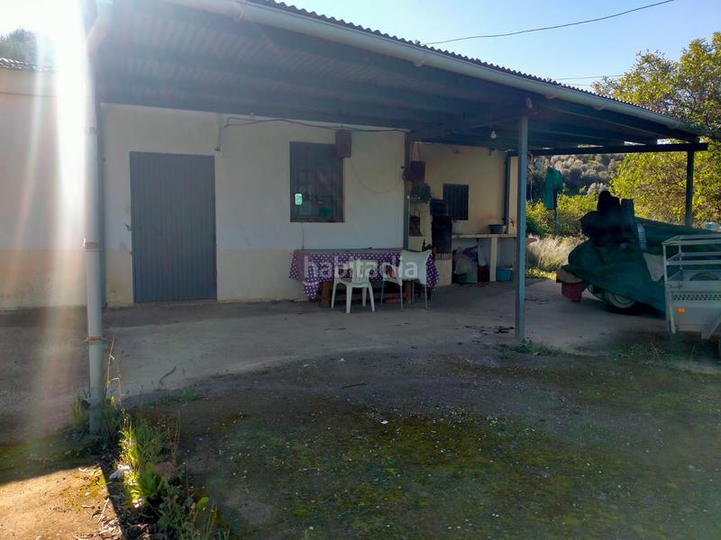 Foto 45d2f10b-b524-4686-9d1a-0a70d6611ff4. Fondo rustico in calle cristo de la veracruz 31 in Almogía