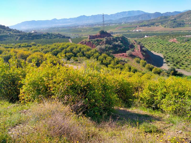 Foto 45eb43b3-ad40-4529-84c3-14df0c1f06a8. Fondo rustico in calle cristo de la veracruz 31 in Almogía