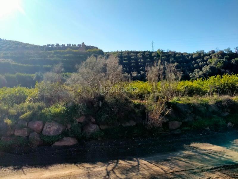 Foto 460371df-98a6-4635-8a3c-31836e1fbef0. Fondo rustico in calle cristo de la veracruz 31 in Almogía