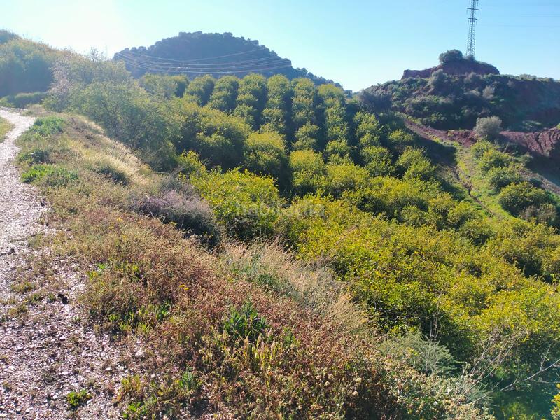 Foto 4a0b7eaf-19a3-4136-81b6-883dd8eeca7e. Fondo rustico in calle cristo de la veracruz 31 in Almogía