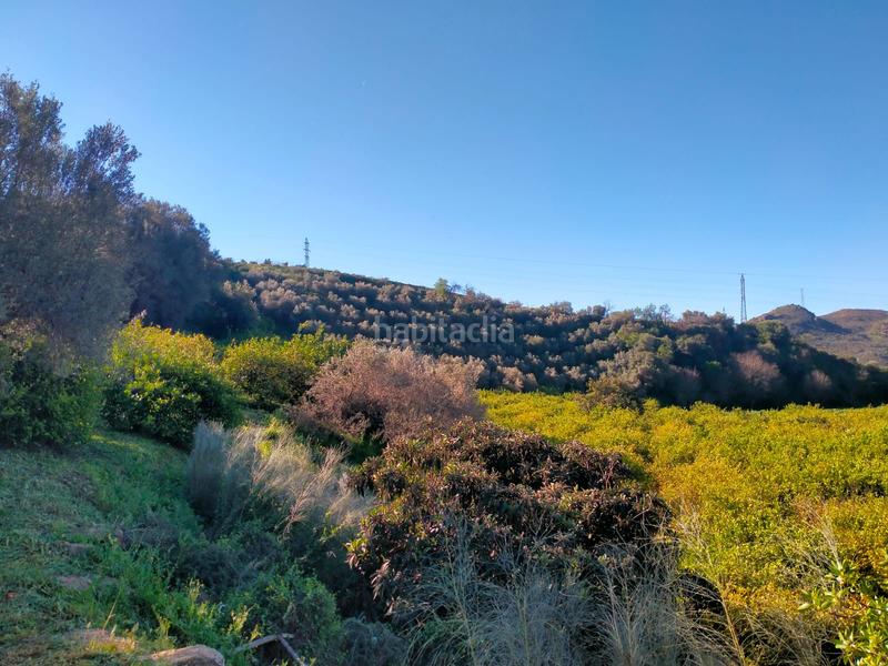 Foto 4f26a059-9978-4a48-bde1-fab31bcf6d44. Fondo rustico in calle cristo de la veracruz 31 in Almogía