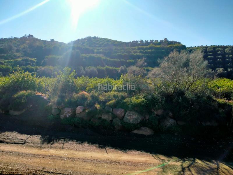 Foto 54f12d86-9115-4257-b097-758caba51afb. Fondo rustico in calle cristo de la veracruz 31 in Almogía