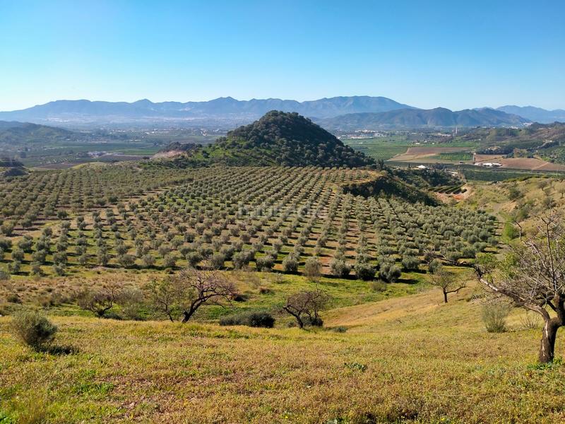 Foto 583f2e4e-9335-4797-80f6-5edb1fa3f2eb. Fondo rustico in calle cristo de la veracruz 31 in Almogía