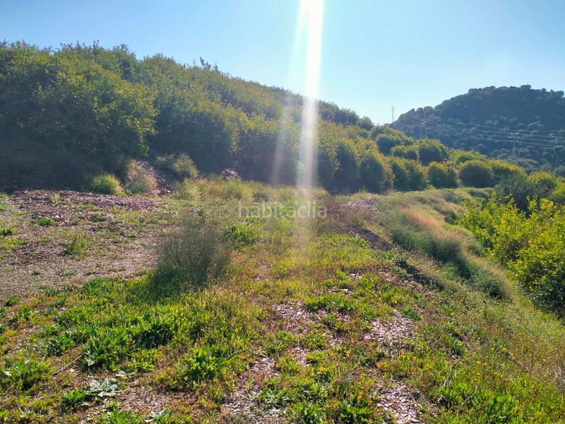 Foto 59baf1c1-387d-4cf4-926a-57fe89ec6407. Fondo rustico in calle cristo de la veracruz 31 in Almogía