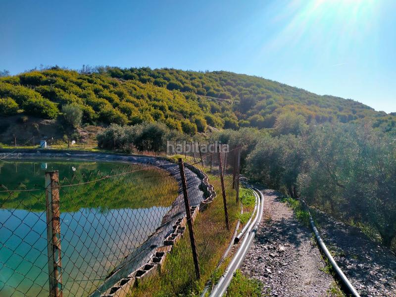 Foto 65b4f8b4-6106-4122-8248-df10123772e5. Fondo rustico in calle cristo de la veracruz 31 in Almogía