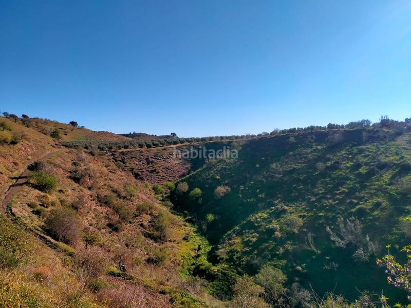 Foto 6dabef39-ab34-4d89-9f69-79a87423b471. Fondo rustico in calle cristo de la veracruz 31 in Almogía