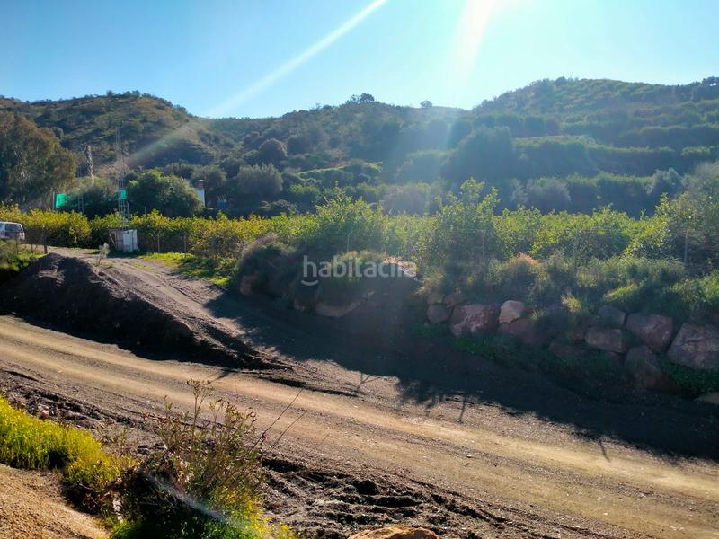 Foto 78aaa5c8-94d7-48ac-9eb9-4b4dc50a7330. Fondo rustico in calle cristo de la veracruz 31 in Almogía