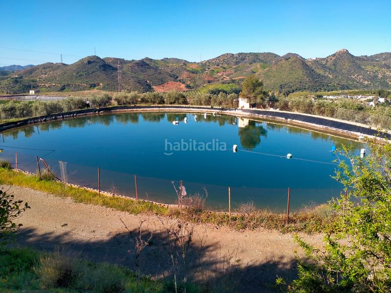 Foto 7a09edba-380d-4157-b041-3b1820b71eef. Fondo rustico in calle cristo de la veracruz 31 in Almogía