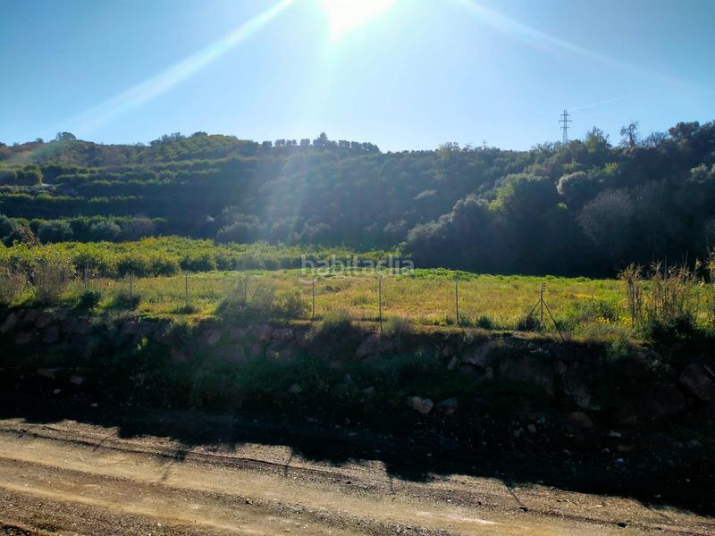 Foto 824b657d-382a-4519-9afc-f2514d39c0fc. Fondo rustico in calle cristo de la veracruz 31 in Almogía