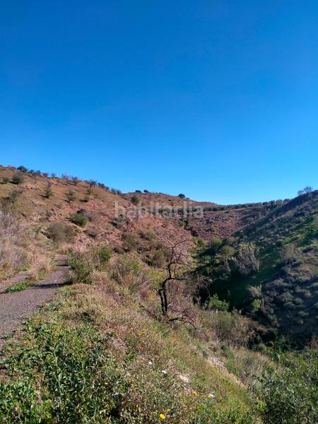 Foto 88dd9b29-c226-4079-9fbf-ea3e7a0316b1. Fondo rustico in calle cristo de la veracruz 31 in Almogía