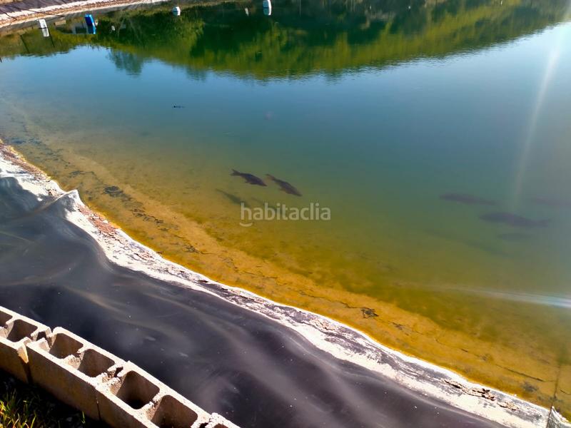 Foto 9c90a078-84f8-4c36-ac9e-3fe81d053ef6. Fondo rustico in calle cristo de la veracruz 31 in Almogía