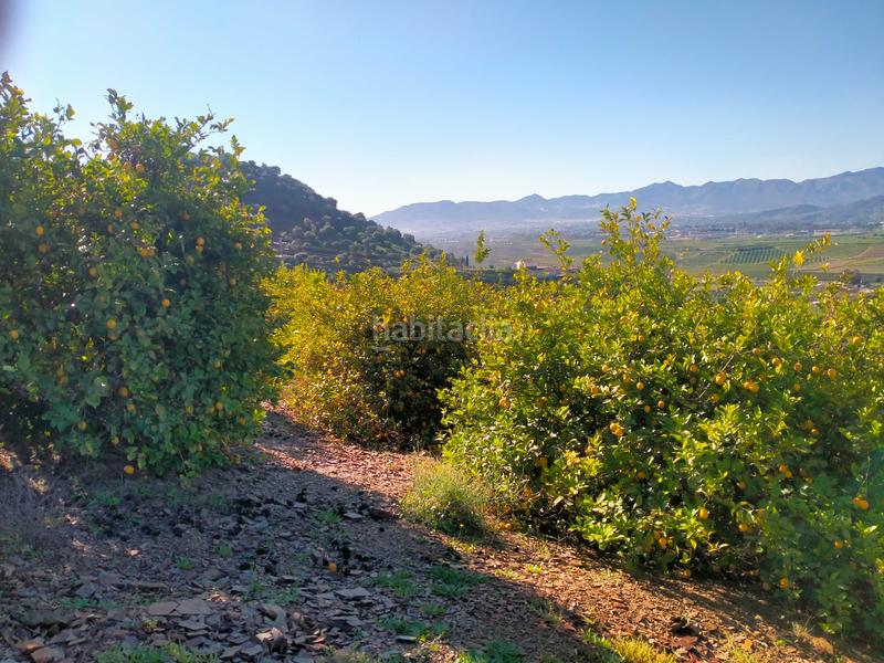 Foto a0c86baf-e747-4497-94c2-6316920c5a7c. Fondo rustico in calle cristo de la veracruz 31 in Almogía