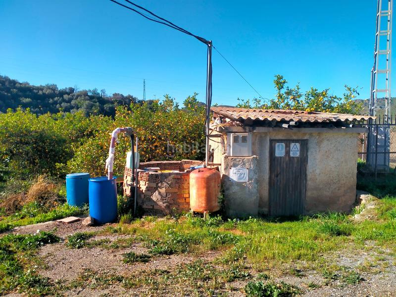 Foto b4d9308e-f31f-4298-8416-0fee54317b1b. Fondo rustico in calle cristo de la veracruz 31 in Almogía