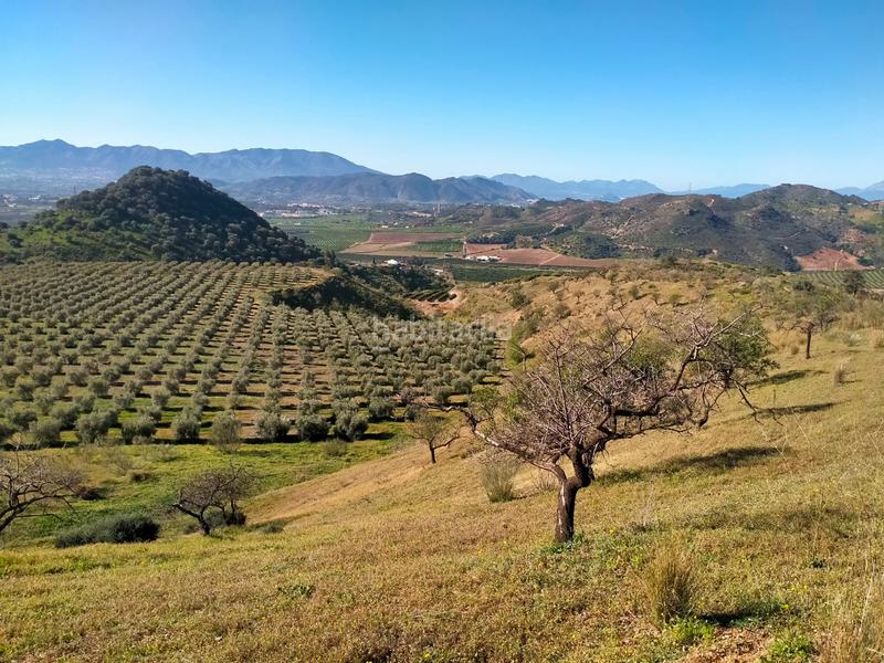 Foto c0ac48d7-e30c-497a-9224-9b11fbe92789. Fondo rustico in calle cristo de la veracruz 31 in Almogía