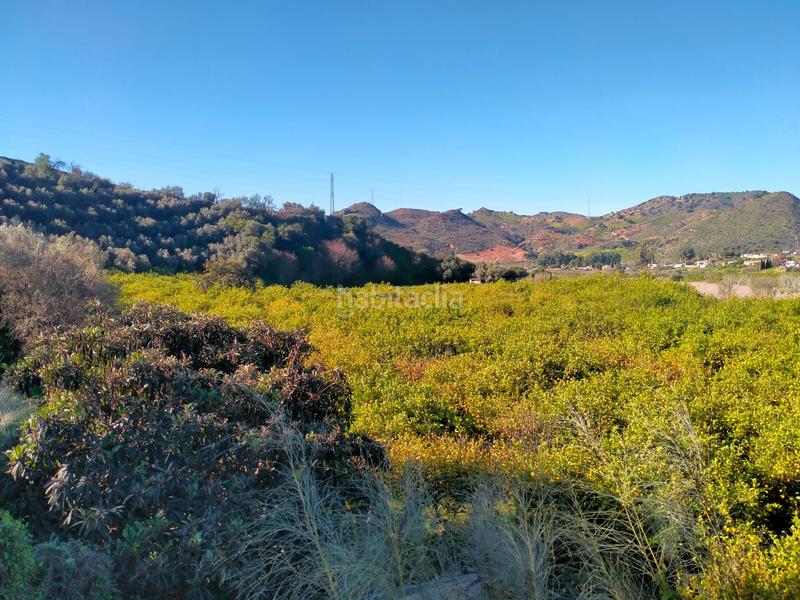 Foto c0fc026f-65c1-4c9a-9b7d-62af6e9834c5. Fondo rustico in calle cristo de la veracruz 31 in Almogía