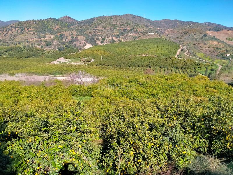 Foto c4c444c0-8ad9-464a-b128-4b8a1e6a6e42. Fondo rustico in calle cristo de la veracruz 31 in Almogía