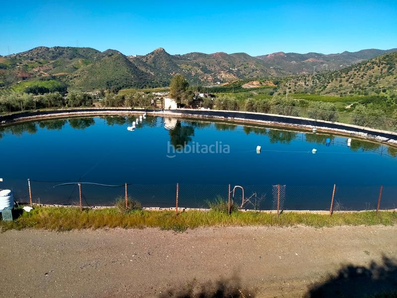 Foto d559a115-c30e-4a21-8a35-083cafe2a283. Fondo rustico in calle cristo de la veracruz 31 in Almogía