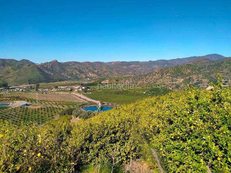 Foto dde64e7d-5db1-4a5f-bdd7-b7f0910287d6. Fondo rustico in calle cristo de la veracruz 31 in Almogía