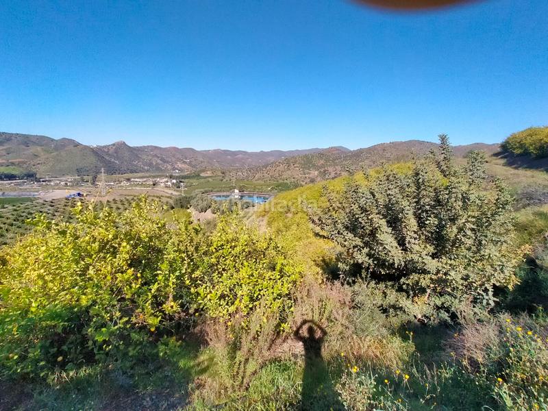 Foto df2036f7-0d7b-4bda-84ba-5f16f193f954. Fondo rustico in calle cristo de la veracruz 31 in Almogía