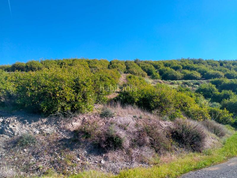 Foto e022d327-748e-48ad-8926-2feba029e733. Fondo rustico in calle cristo de la veracruz 31 in Almogía