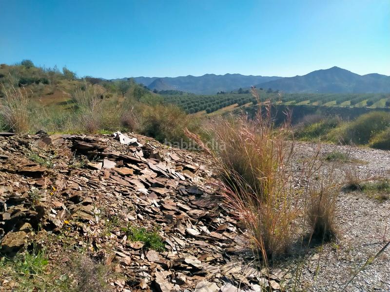 Foto eb72f7c1-8d8d-42ec-a3a3-7d22446a3098. Fondo rustico in calle cristo de la veracruz 31 in Almogía