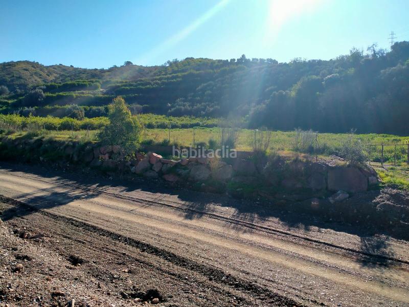 Foto f327b133-db05-4a00-92d6-5a82baca9157. Fondo rustico in calle cristo de la veracruz 31 in Almogía