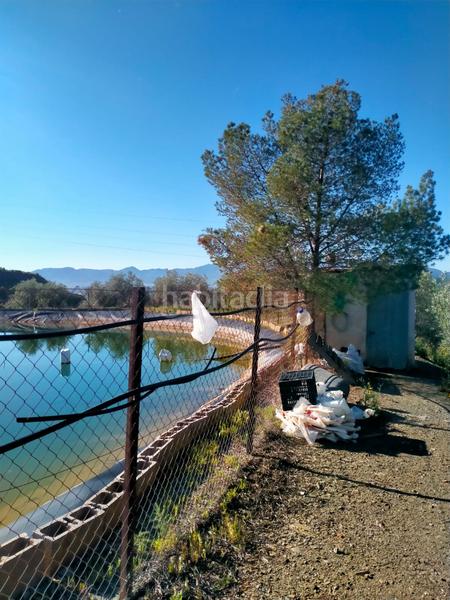 Foto f924d8e2-5673-4460-9712-5c488465fd91. Fondo rustico in calle cristo de la veracruz 31 in Almogía