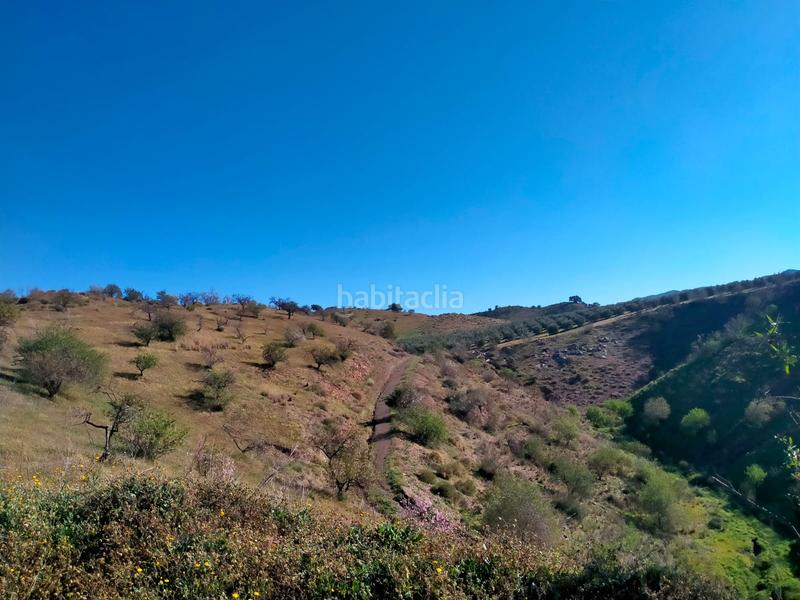 Foto ffccbd98-eafb-4612-9ced-d3fe276a17b3. Fondo rustico in calle cristo de la veracruz 31 in Almogía