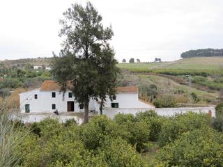 Mas à Calle de las casillas 2. Finca rústica de 7 hectáreas con antiguo molino de aceite en piz