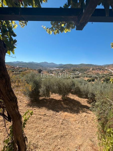 Foto 1af5f3a7-09c1-4493-a026-a68d3d834e50. Bauernhof mit parking in Guaro