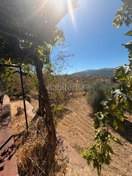 Foto 1d04cb85-800f-4bb0-a1db-59a02e4d8c2c. Bauernhof mit parking in Guaro