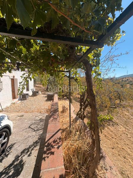 Foto 6b6d01c6-5ad3-48ae-ac40-6a35beba554a. Bauernhof mit parking in Guaro