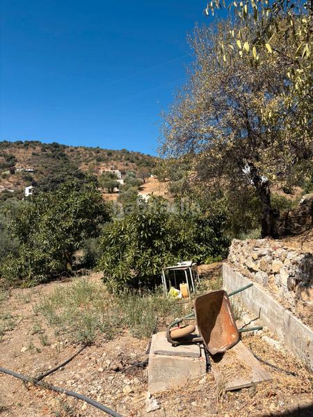 Foto b87e982e-760e-4c4c-8561-cc1d86d0d1e4. Bauernhof mit parking in Guaro