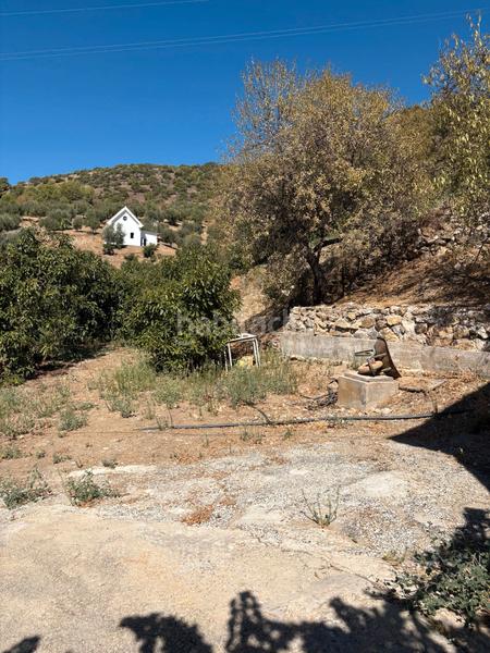 Foto e27eb128-15ba-4b37-a784-a8c47ba0b68a. Bauernhof mit parking in Guaro