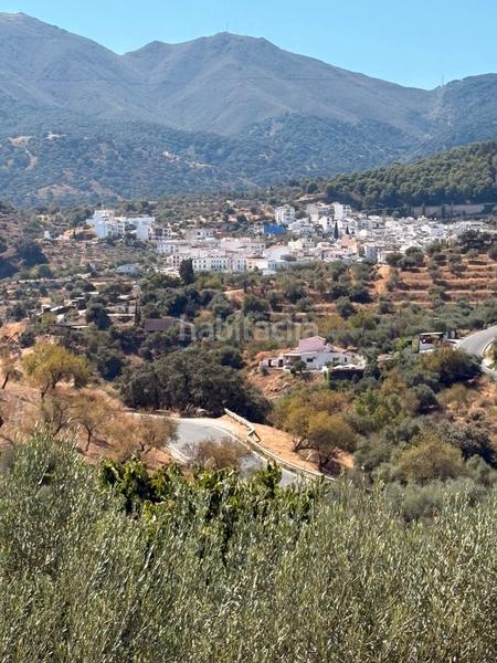 Foto e3e116de-2c6c-49ba-9c89-ff769a217d6b. Bauernhof mit parking in Guaro