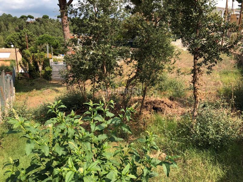 Foto 49b6efa7-c937-46fe-9d36-63d8899b12e1. Terreno residencial en carrer arc de sant martí 525 en Tordera