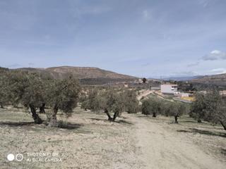 Terreny residencial a C/ rosa regas. Solar en venta en la malaha.
