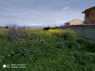 Terreny residencial  Acequia real. Solar en venta en ogijares.